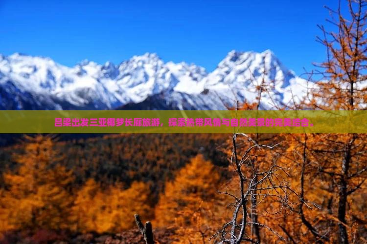 吕梁出发三亚椰梦长廊旅游