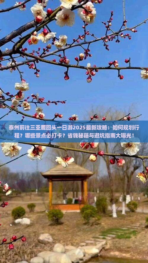 泰州前往三亚鹿回头一日游