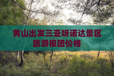 黄山出发三亚呀诺达景区旅游