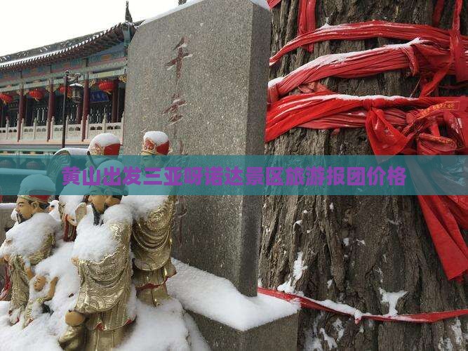 黄山出发三亚呀诺达景区旅游