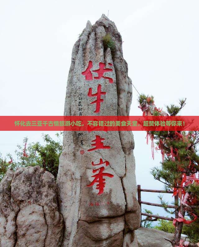 怀化去三亚千古情旅游小吃