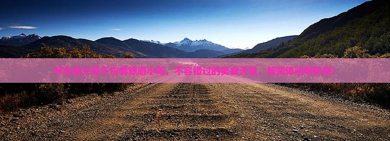 怀化去三亚千古情旅游小吃