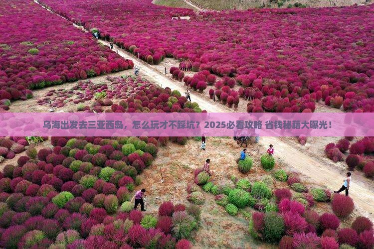 乌海市出发三亚西岛旅行社