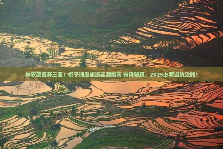 神农架去三亚椰子洲岛旅游