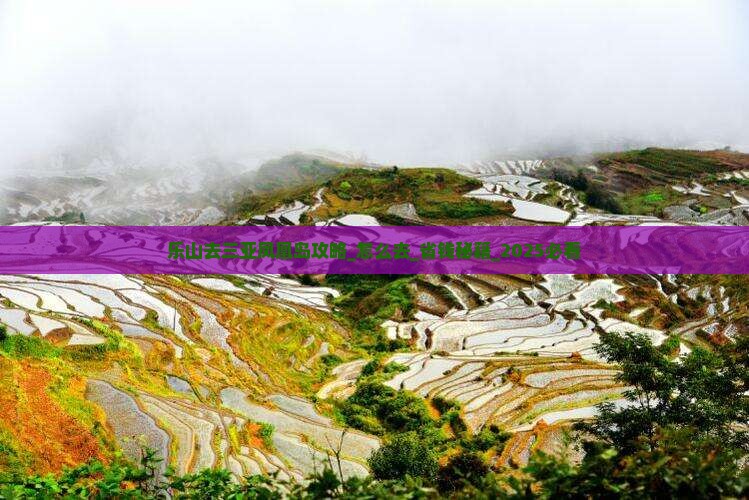 乐山去三亚凤凰岛攻略