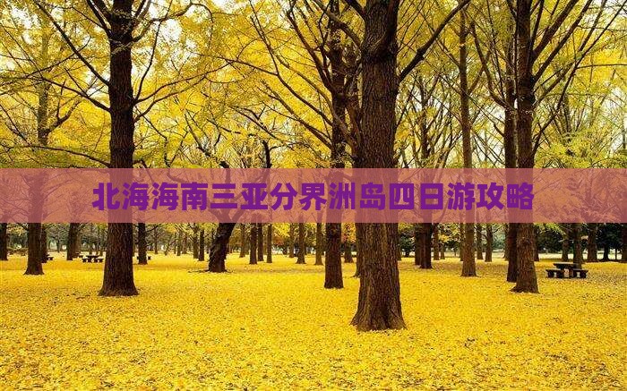北海前往三亚分界洲岛四日游