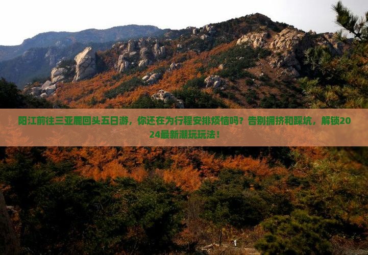 阳江前往三亚鹿回头五日游 阳江前往三亚鹿回头五日游