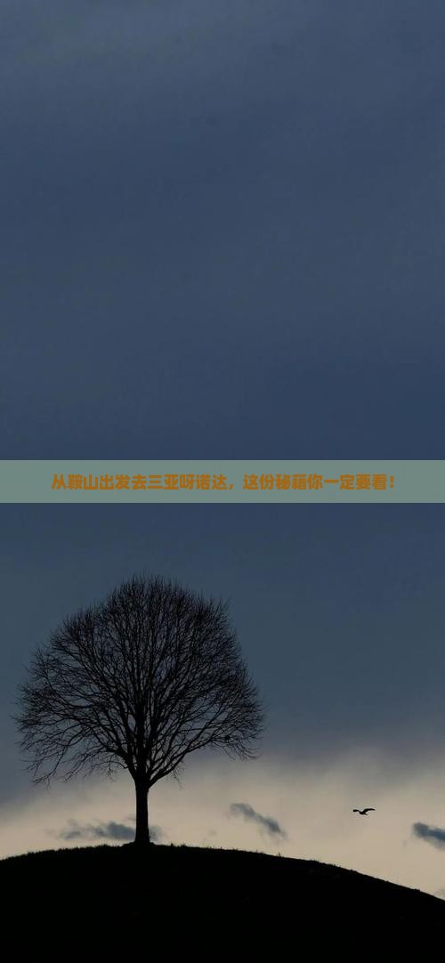 鞍山出发三亚呀诺达景区哪里玩