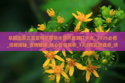 阜阳出发三亚亚特兰蒂斯水世界旅游打卡点