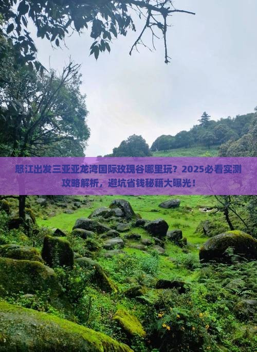 怒江出发三亚亚龙湾国际玫瑰谷哪里玩 怒江出发三亚亚龙湾国际玫瑰谷哪里玩