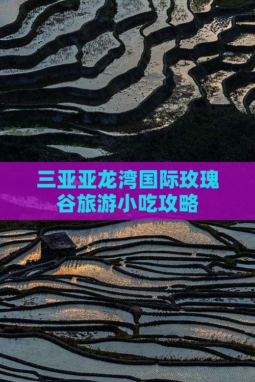 潜江去三亚亚龙湾国际玫瑰谷旅游小吃