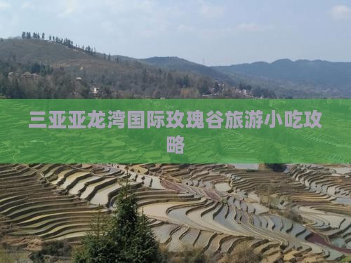 潜江去三亚亚龙湾国际玫瑰谷旅游小吃