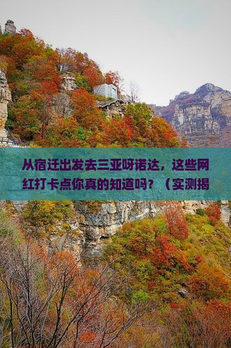 宿迁出发三亚呀诺达景区旅游网红地点