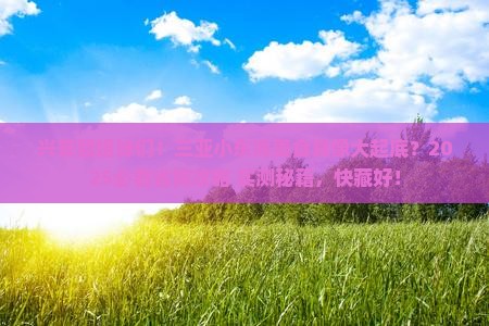兴安盟去三亚小东海旅游小吃