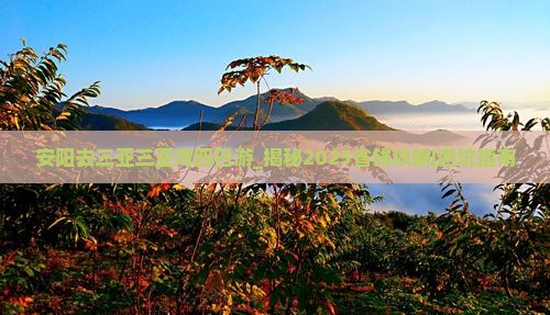 安阳去三亚三亚湾四日游