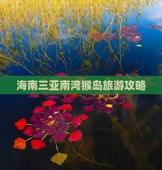 中卫出发三亚南湾猴岛门票