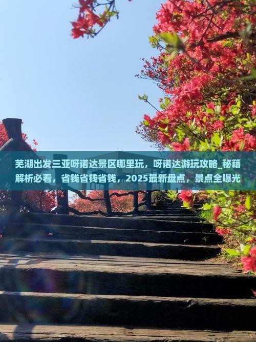 芜湖出发三亚呀诺达景区哪里玩