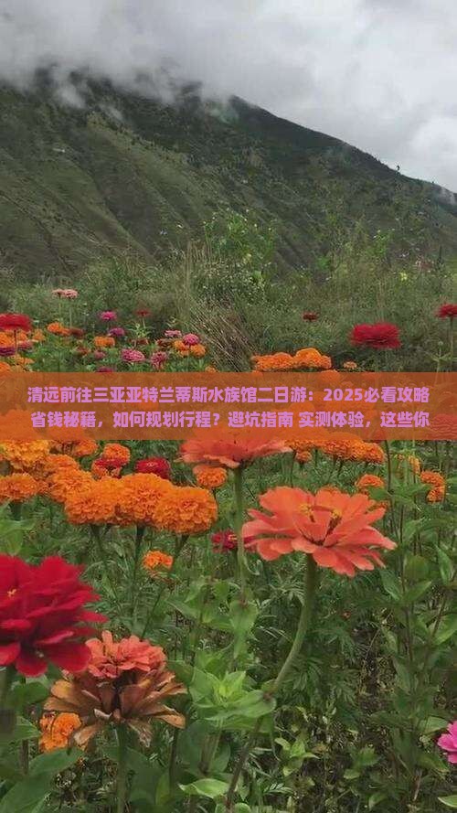 清远前往三亚亚特兰蒂斯水族馆二日游 清远前往三亚亚特兰蒂斯水族馆二日游