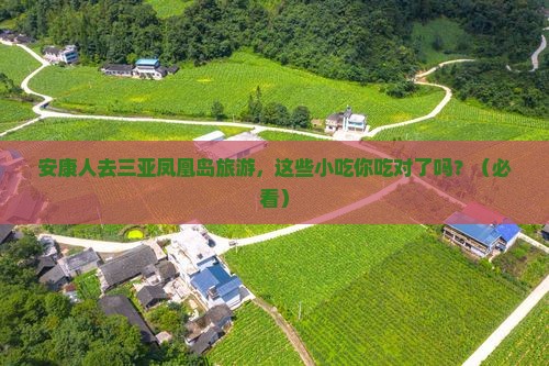 安康去三亚凤凰岛旅游小吃