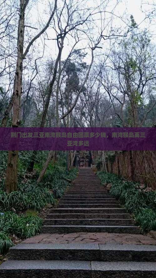 荆门出发三亚南湾猴岛自由团