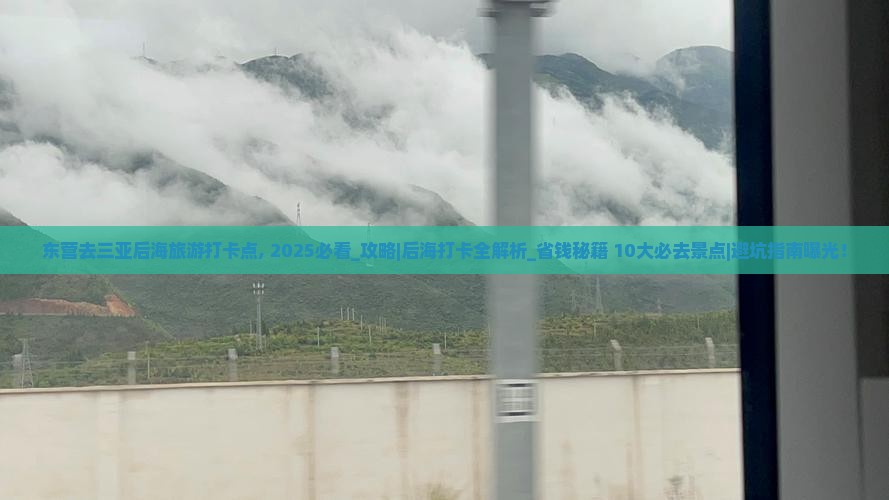 东营去三亚后海旅游打卡点