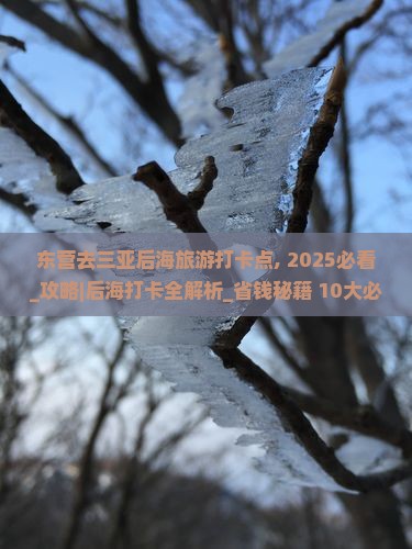 东营去三亚后海旅游打卡点