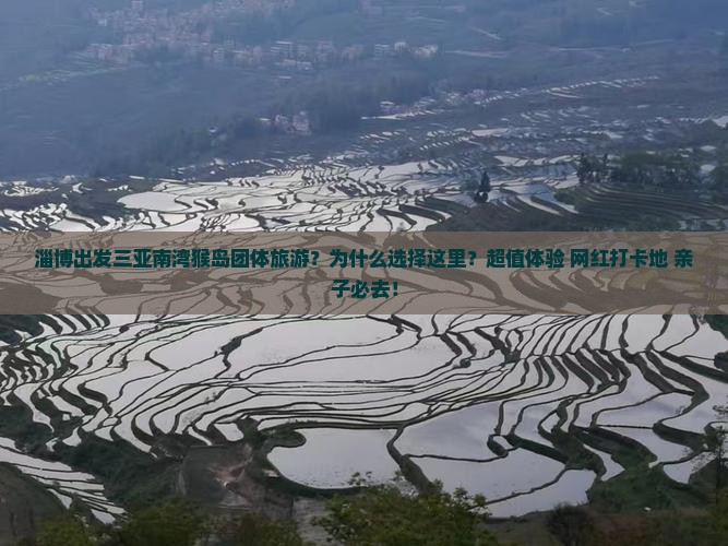 淄博出发三亚南湾猴岛团体旅游