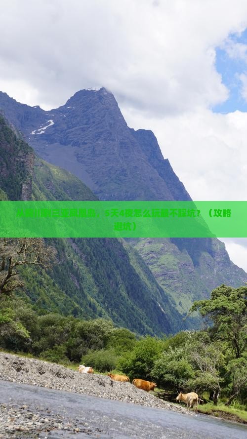 铜川去三亚凤凰岛攻略