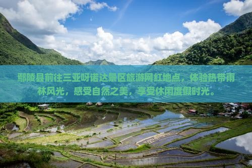 鄢陵县前往三亚呀诺达景区旅游网红地点