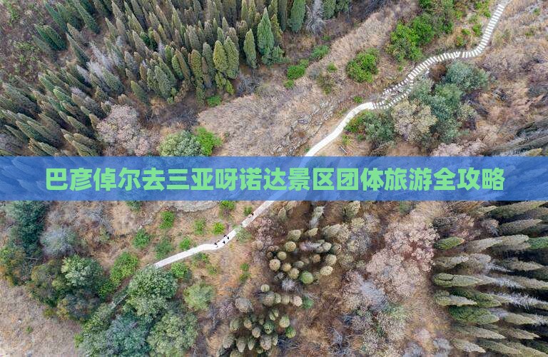 巴彦倬尔去三亚呀诺达景区团体旅游