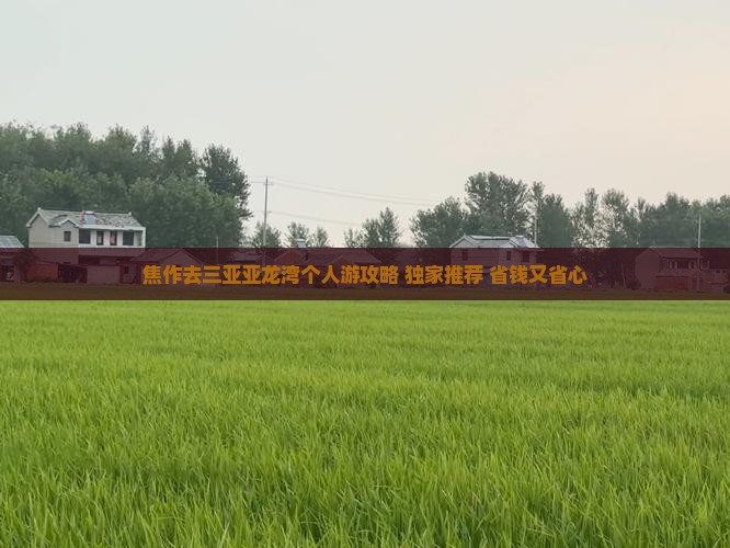 焦作去三亚亚龙湾个人游