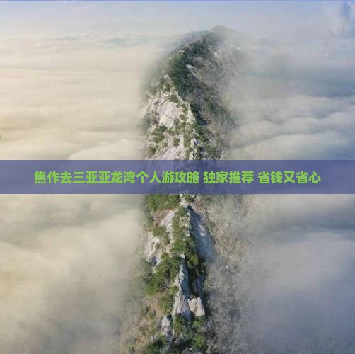 焦作去三亚亚龙湾个人游