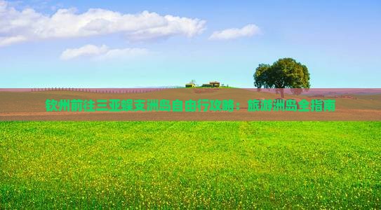 钦州前往三亚蜈支洲岛自由行