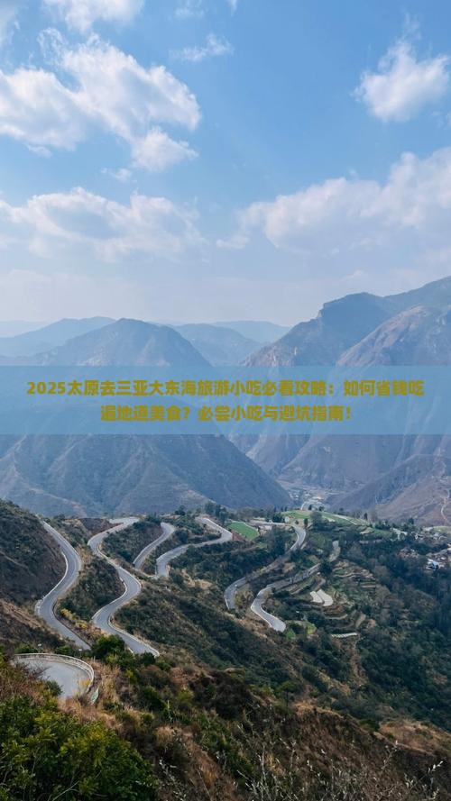 太原去三亚大东海旅游小吃