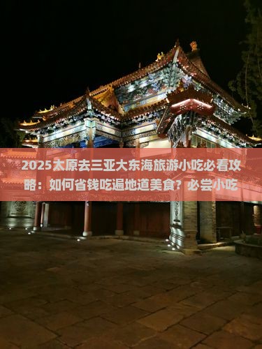 太原去三亚大东海旅游小吃