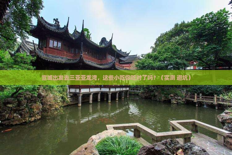 宣城去三亚亚龙湾旅游小吃