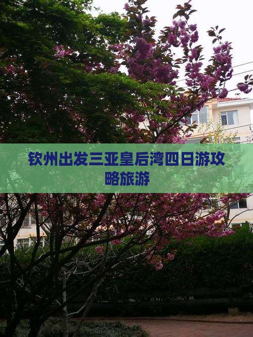 钦州出发三亚皇后湾四日游