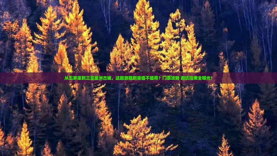 五家渠前往三亚崖洲古城门票