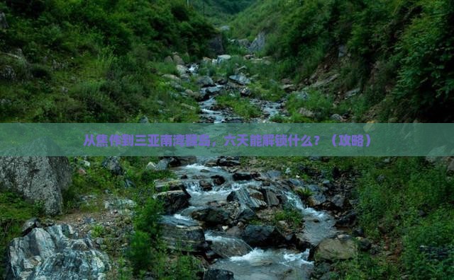 焦作前往三亚南湾猴岛六日游