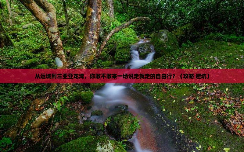 运城前往三亚亚龙湾自由行