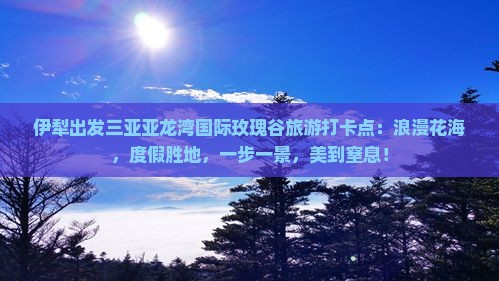 伊犁出发三亚亚龙湾国际玫瑰谷旅游打卡点