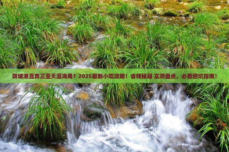 防城港前往三亚天涯海角旅游小吃
