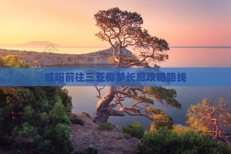 咸阳前往三亚椰梦长廊攻略