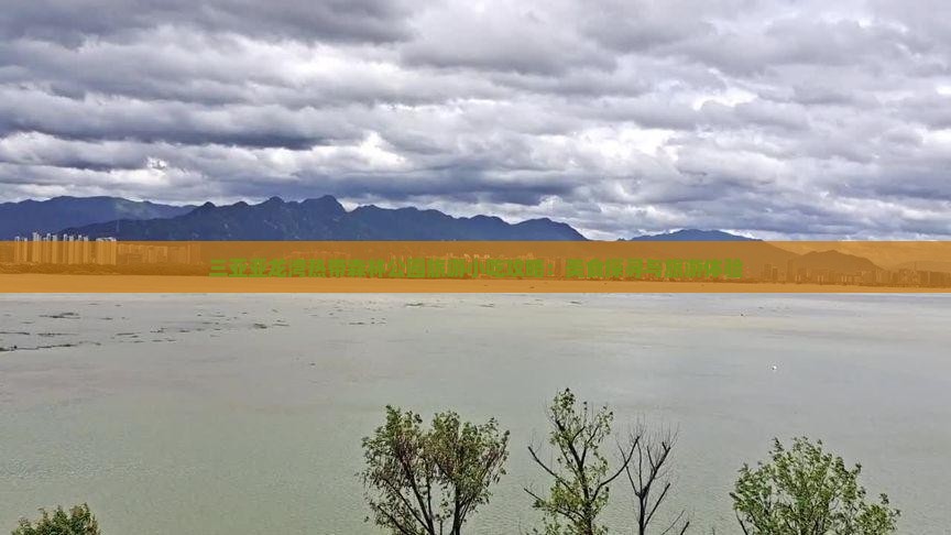 保山去三亚亚龙湾热带森林公园旅游小吃