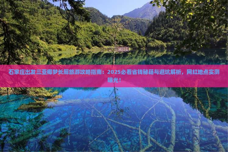 石家庄出发三亚椰梦长廊旅游网红地点