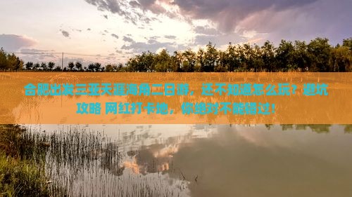合肥出发三亚天涯海角二日游