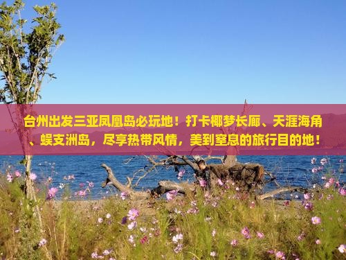 台州出发三亚凤凰岛必玩地