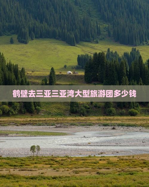 鹤壁去三亚三亚湾大型旅游团