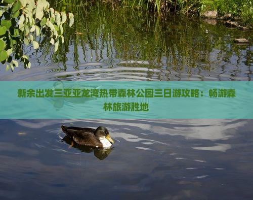 新余去三亚亚龙湾热带森林公园三日游