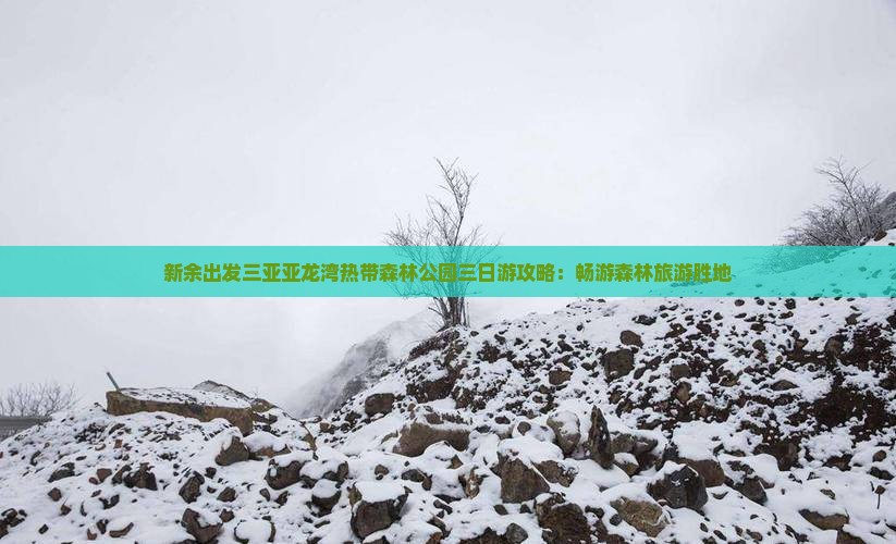 新余去三亚亚龙湾热带森林公园三日游
